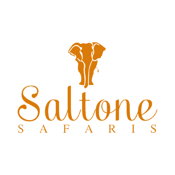 Saltone Safaris